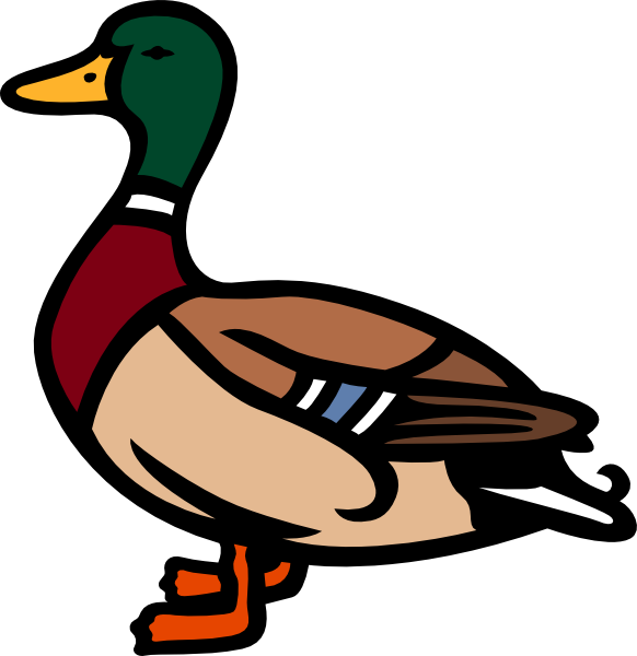 582x600 Duck Clip Art