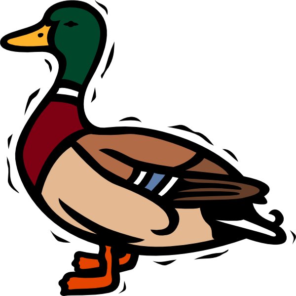 600x599 Duck Clip Art Images Illustrations Photos