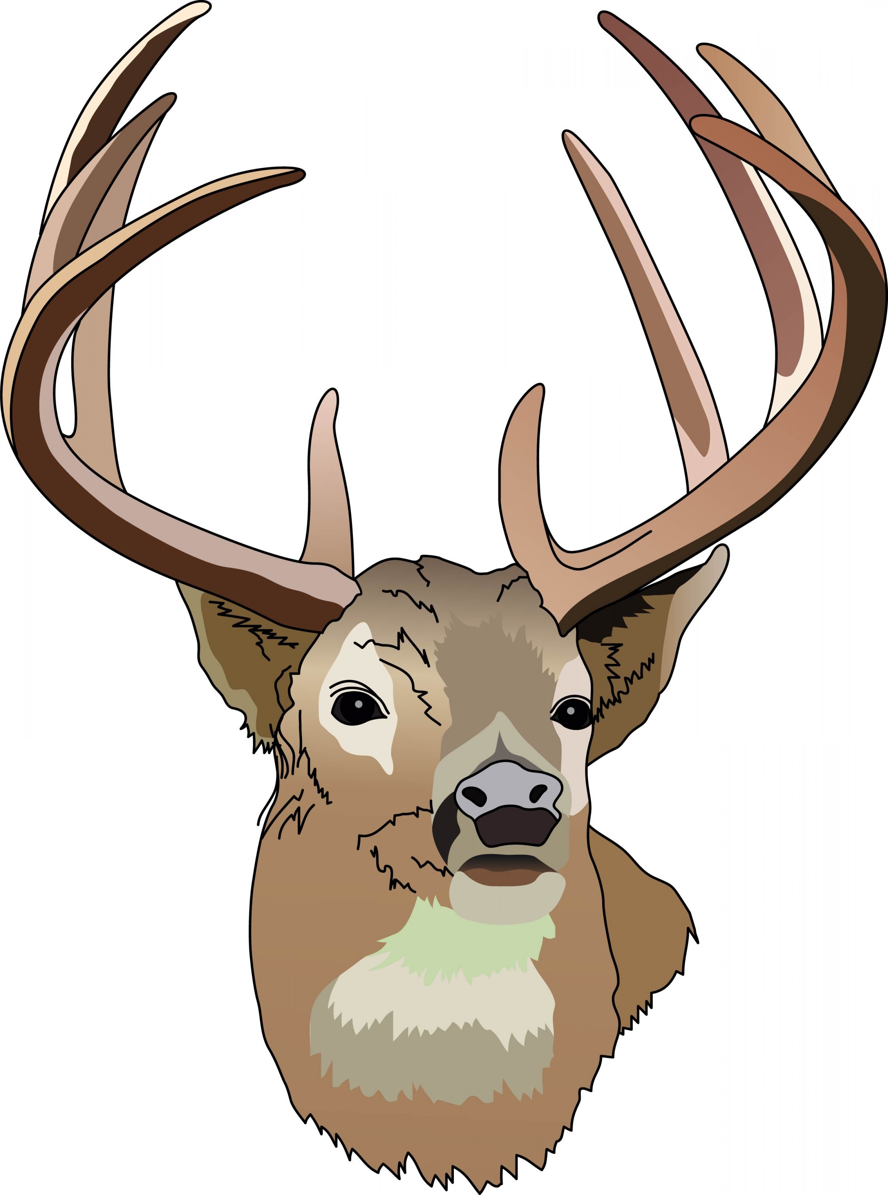 2948x3966 Hunting Clipart Big Buck