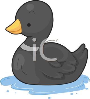 317x350 Little Black Duck