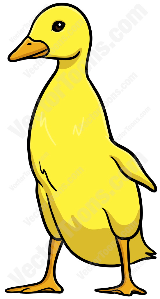 550x1024 Yellow Duckling Cartoon Clipart Vector Toons