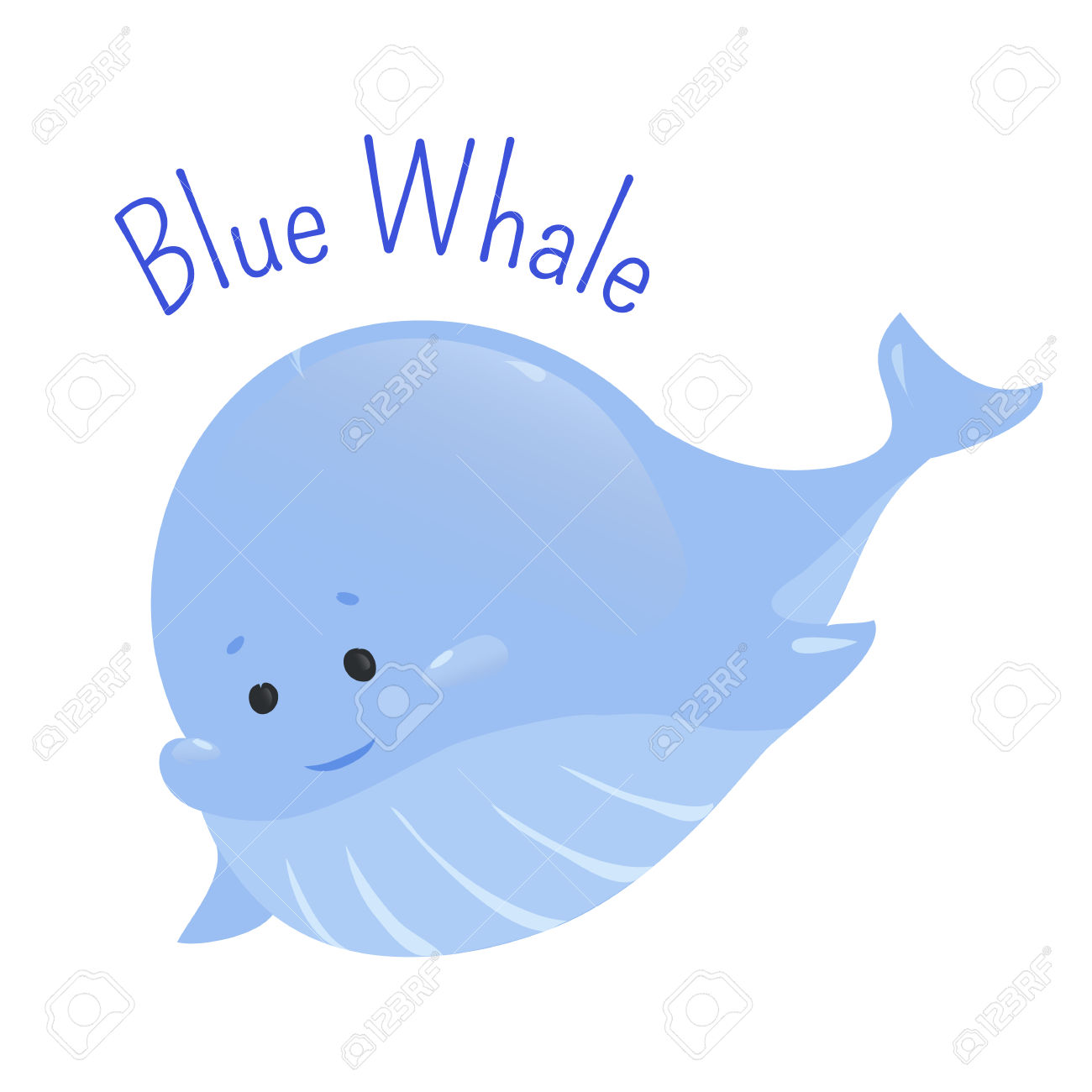1300x1300 Balaenoptera Musculus Clipart