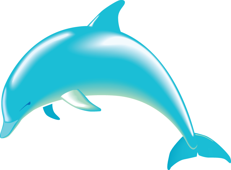 781x575 Bottlenose Dolphin Clipart Ocean Animal