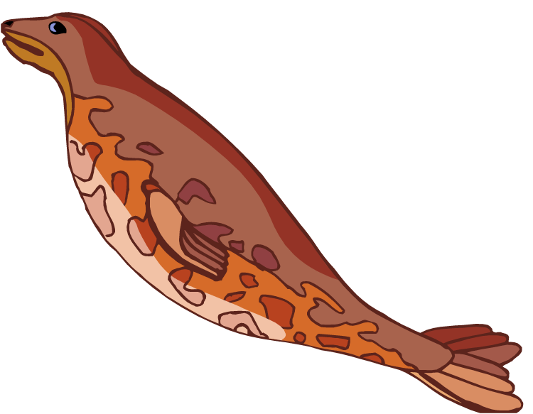 750x583 Free Seal Clipart