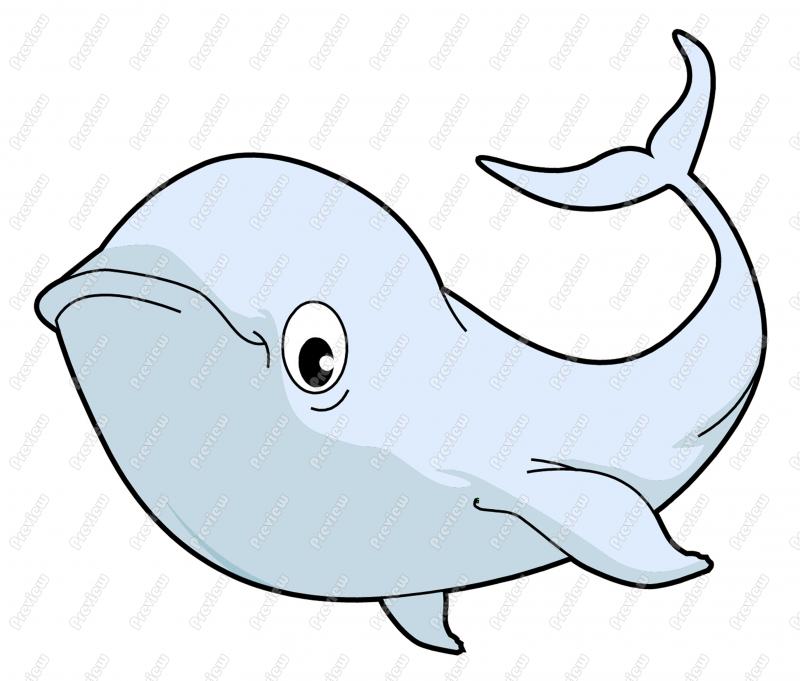 800x681 Collection Of Baby Beluga Clipart High Quality, Free