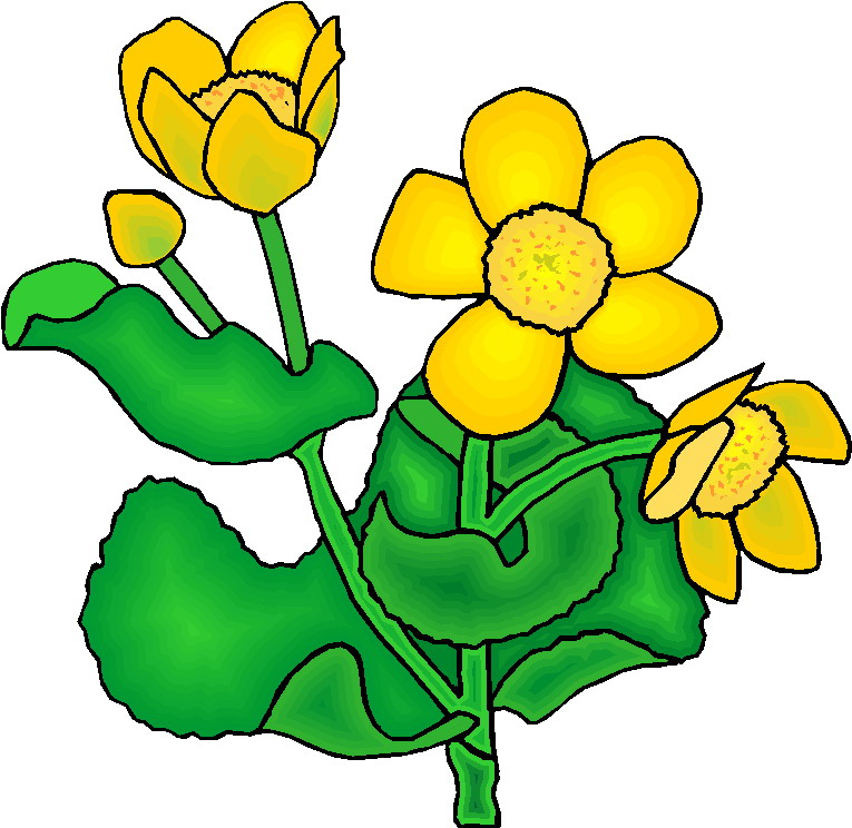 765x744 Clip Art Flowers And Plants Plants