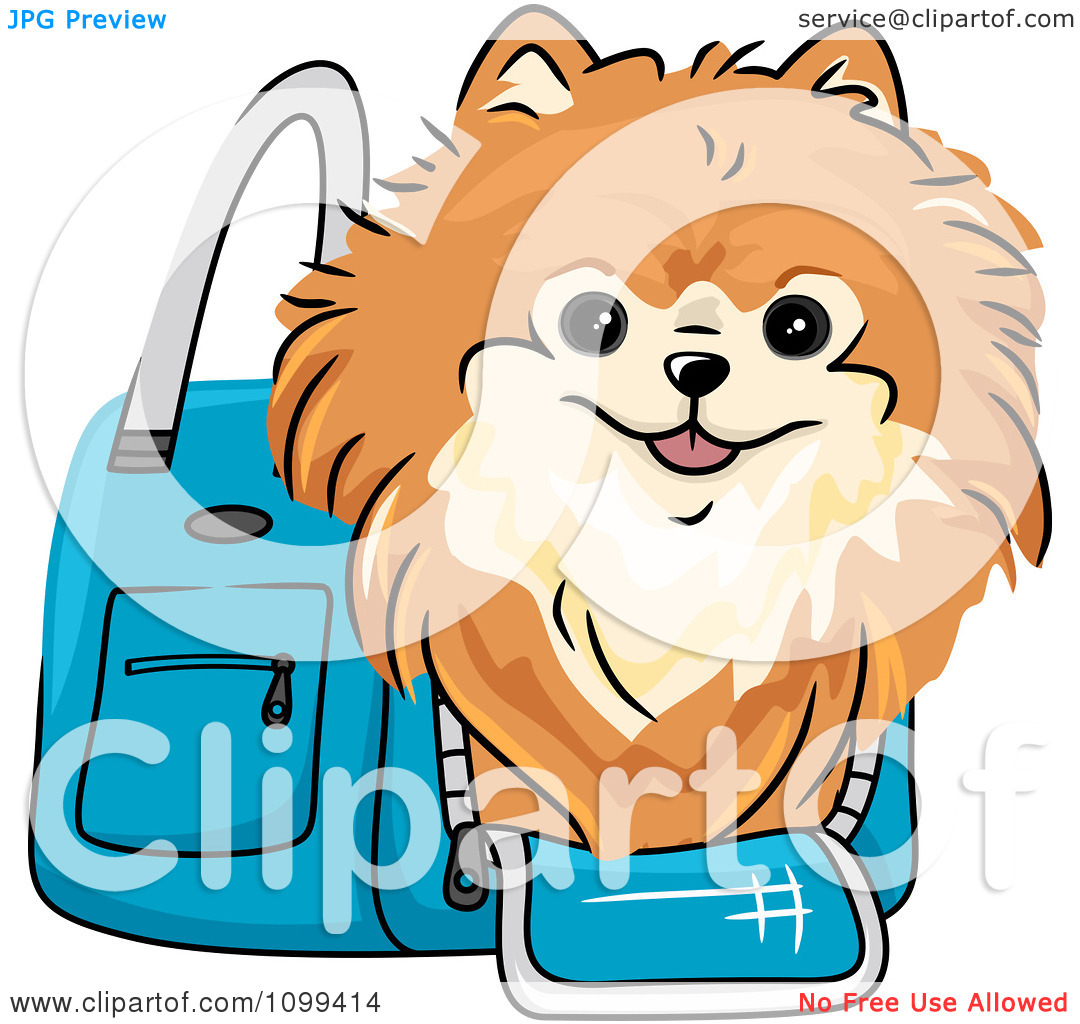 1080x1024 Dwarf Spitz Clipart