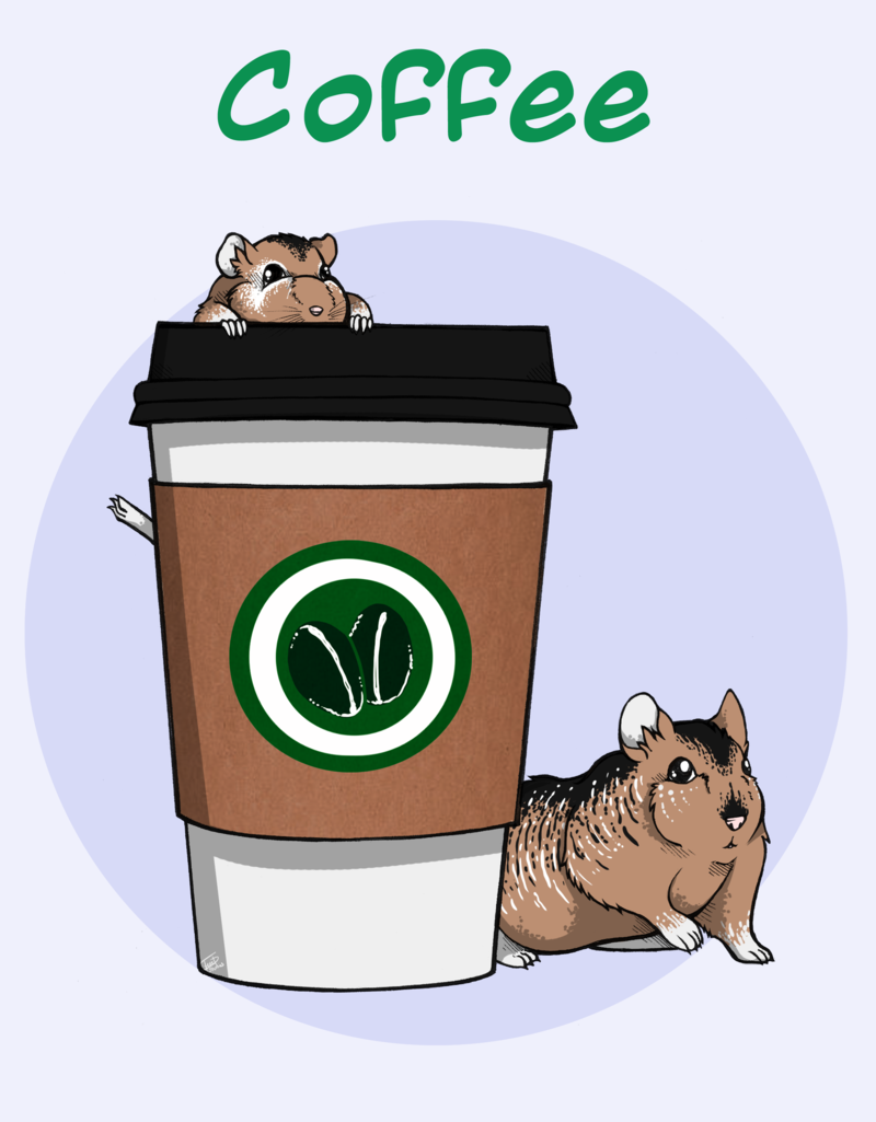 800x1025 Dwarf Hamster Coffee By Feretstudios