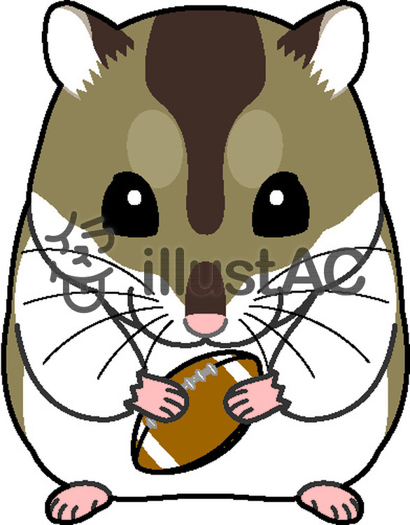 586x750 Free Cliparts Hamster, Djangarian, Rugby