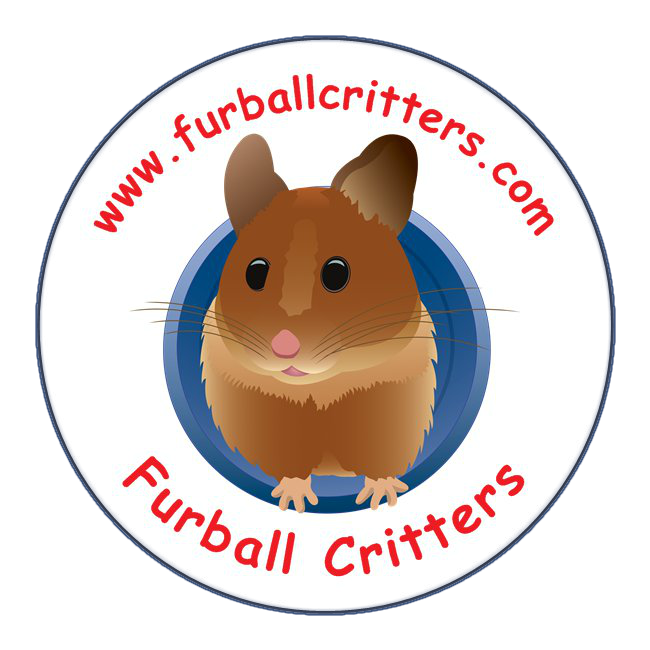 650x650 Furball Critters Hamsters, Rats, Chinchillas Santa Cruz, Ca
