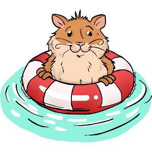 300x300 Can Hamsters Swim And Do They Like Swimming The Hamster House