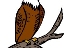 220x165 Free Eagle Clipart Eagle Stock Illustrations 24477 Eagle Clip Art