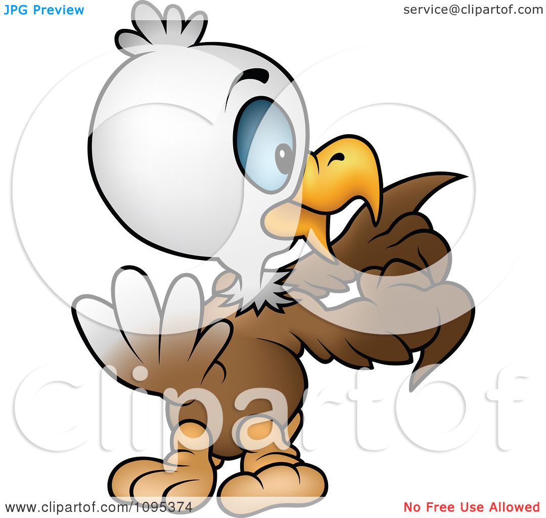 1080x1024 Clipart Bald Eagle Counting His Feathers