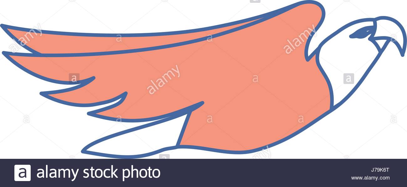 1300x597 Eagle Feathers Stock Vector Images