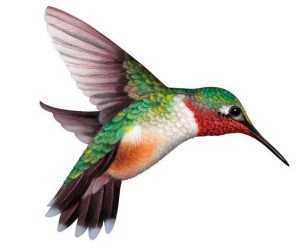 300x249 Hummingbird Clip Art Hummingbirds Clipart Google Search Needleart