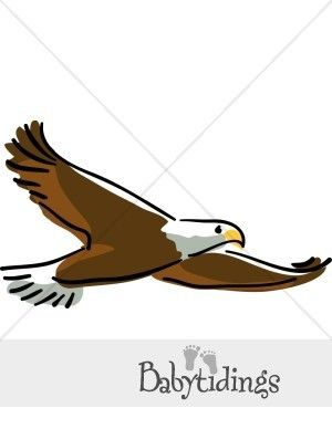 300x388 Soaring Eagle Clip Art Free Eagles Clip Art Free