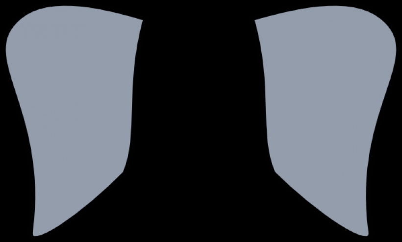 820x494 Ears Elephant Clipart, Explore Pictures