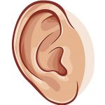 150x150 Human Ear Clipart Clipartxtras Ear Clip Art