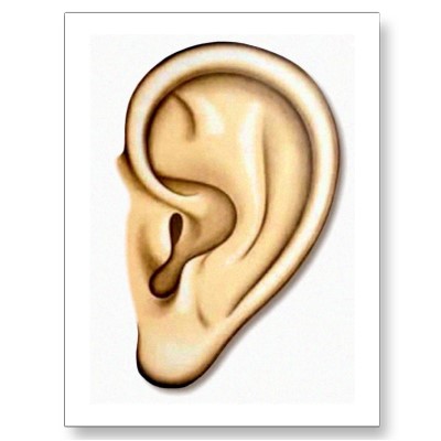 400x400 Best Ear Clipart