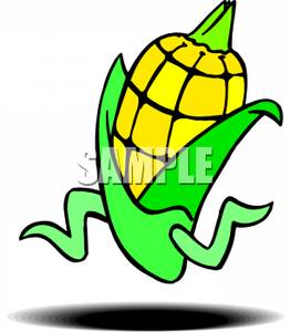 262x300 Clipart Picture A Running Ear Of Corn