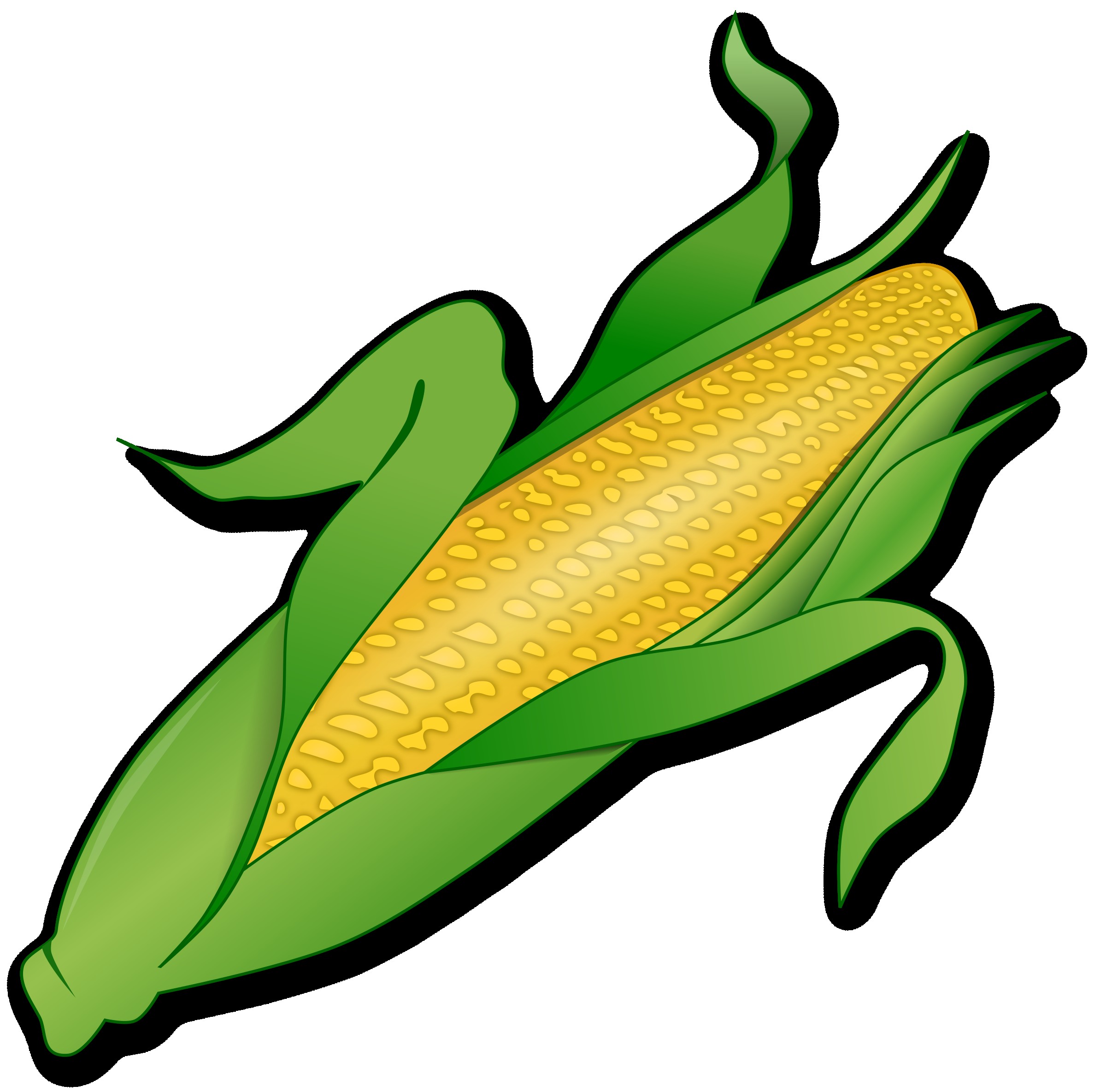 Ear Of Corn Clipart at GetDrawings | Free download