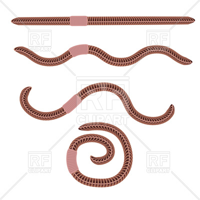 400x400 Earth Red Worms