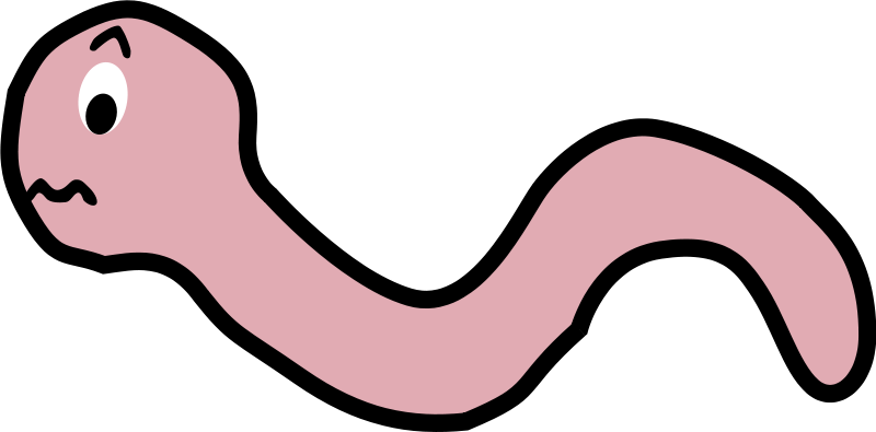 800x395 Free Clipart Funny Earthworm Cartoon Palomaironique