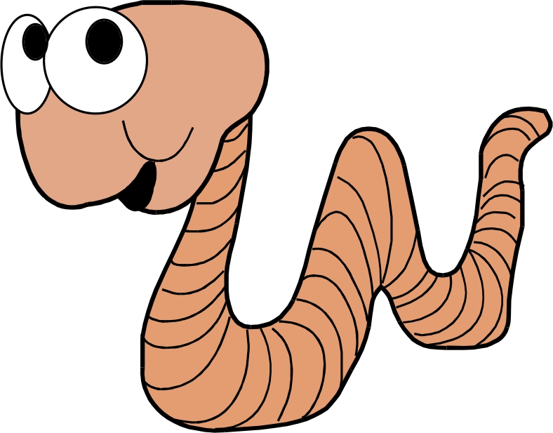 788x617 Worm Clipart Earthworm