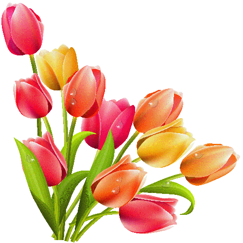 500x500 Clipart Easter Flower Free