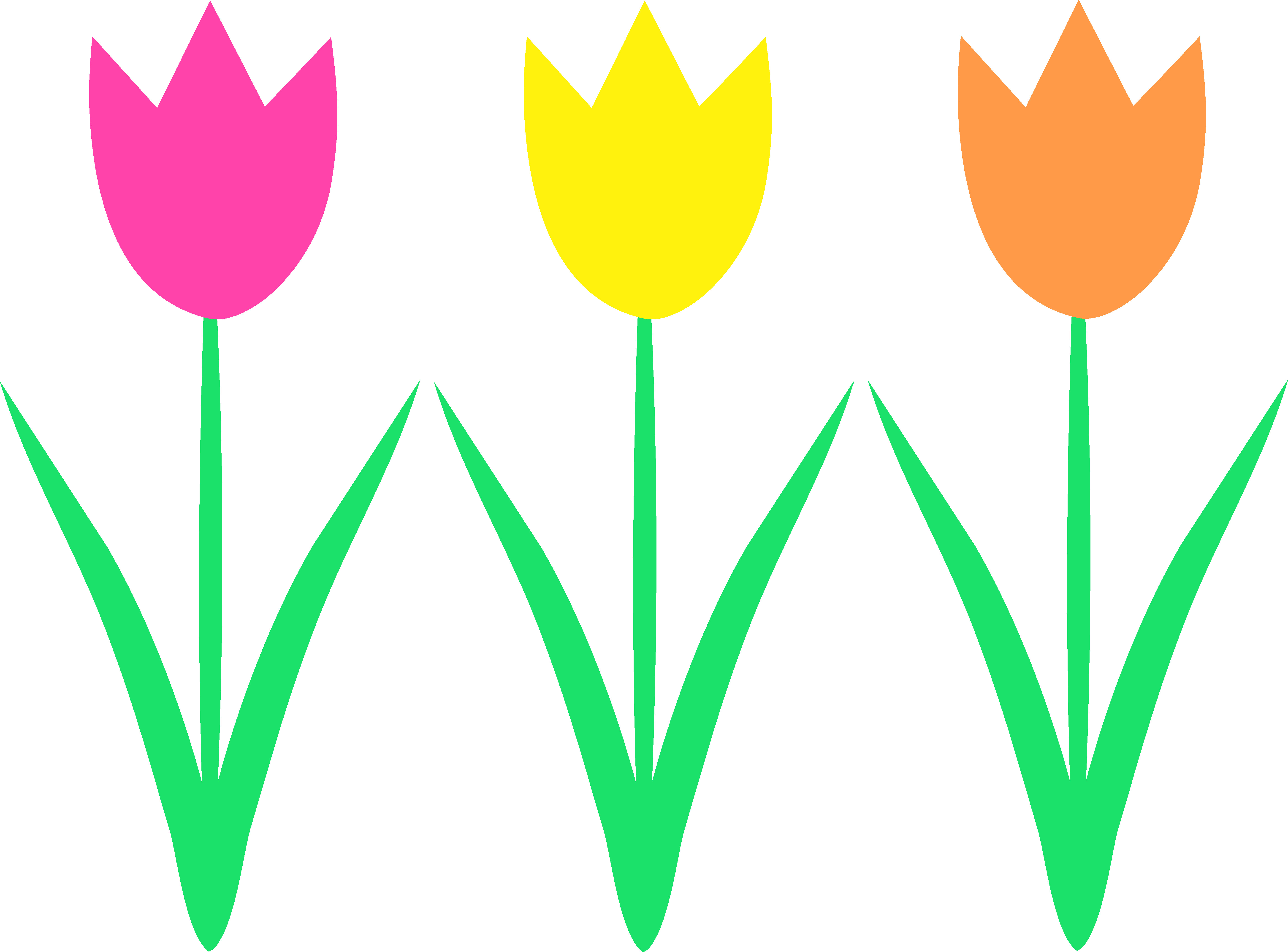 5627x4161 Free Clip Art Easter Flowers Tulips Clipart Image Clip Art