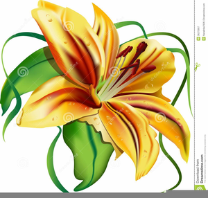 300x286 Clipart Easter Lilies Free Images