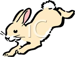 300x227 Jumping Bunny Clipart, Explore Pictures
