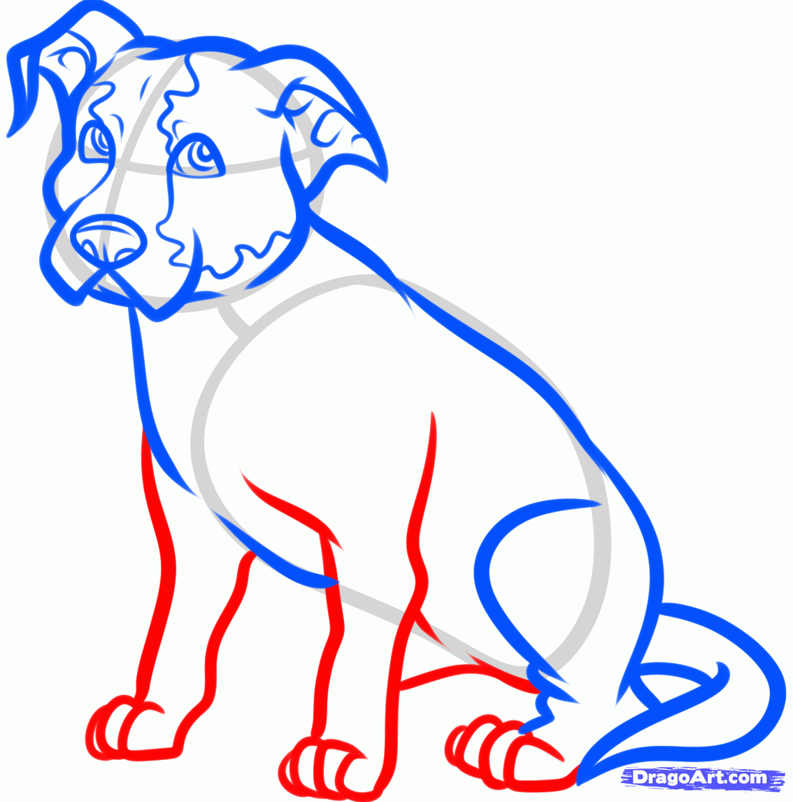 1134x1146 Gallery How To Draw A Sitting Dog,