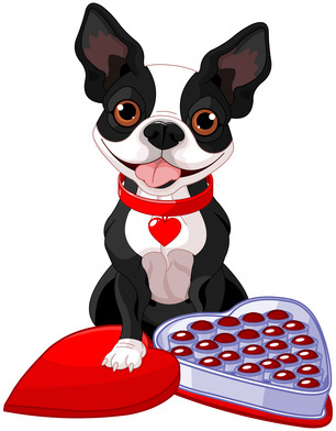 306x392 Pictures Of Dogs For Valentines Day