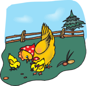 300x297 Chickens Eating Clip Art