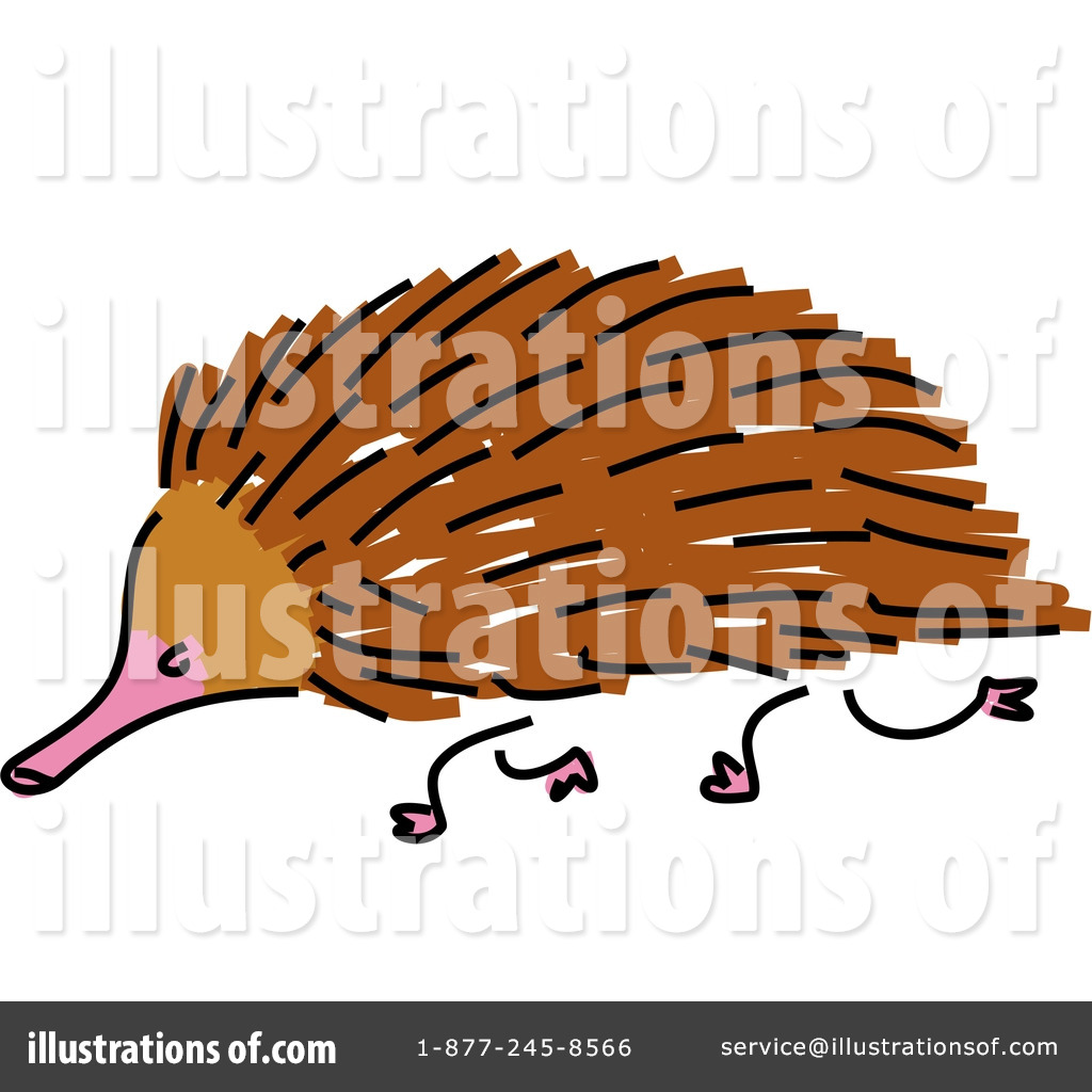 1024x1024 Echidna Clipart