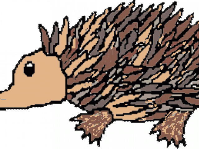 640x480 Echidna Clipart Clip Art