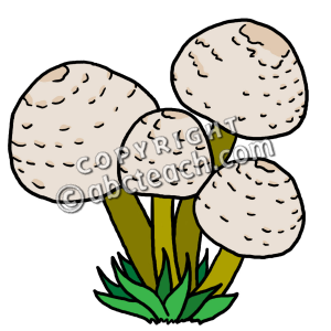 300x300 Clip Art Mushrooms Color Clipart Panda