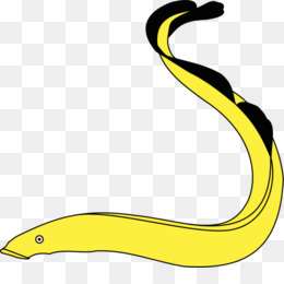 260x260 American Eel Japanese Eel Clip Art