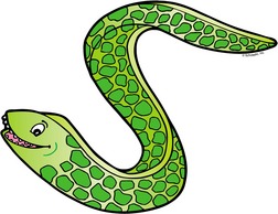 252x194 Eel Clipart