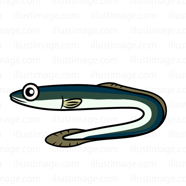 600x600 Free Eel Cartoon Amp Clipart Amp Graphics [Ii]