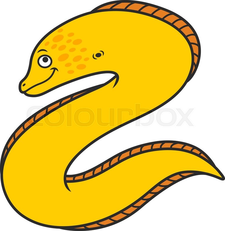 778x800 Cartoon Eel Group