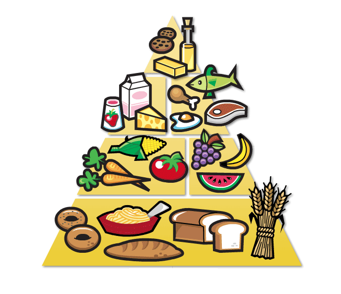 687x592 Free Clipart Of Food Pyramid