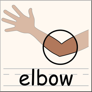 304x304 Clip Art Parts Of The Body Elbow Color I Abcteach