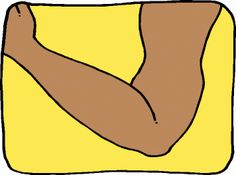 236x175 Cartoon Elbow Regular Clip Body Elbow.gif Projects