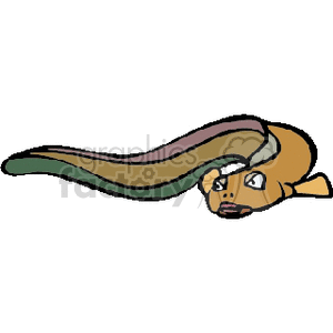300x300 Pretty Inspiration Eel Clipart 2031 Fish Clip Art Graphics Section