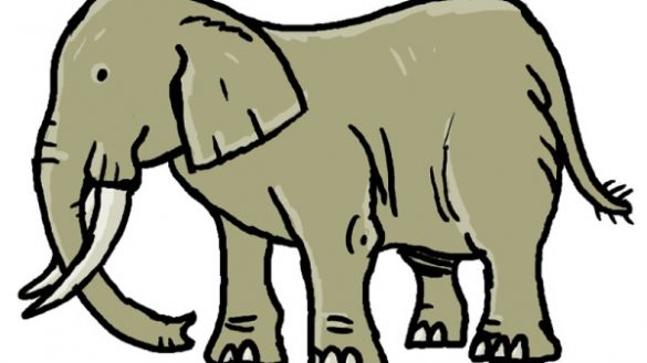 585x329 Easy Pictures Of Elephants For Kids 25 Amazing Facts