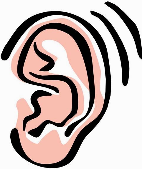 482x574 Collection Of Ear Clipart High Quality, Free Cliparts