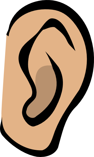 360x599 Big Ear Clipart