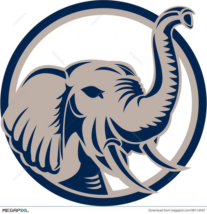 800x829 Elephant Head Front Retro Illustration 38114597